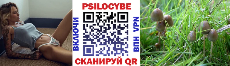 мориарти состав  наркота  Гуково  Галлюциногенные грибы GOLDEN TEACHER 